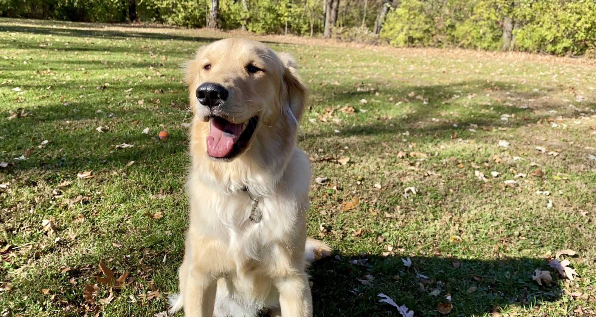 Axel